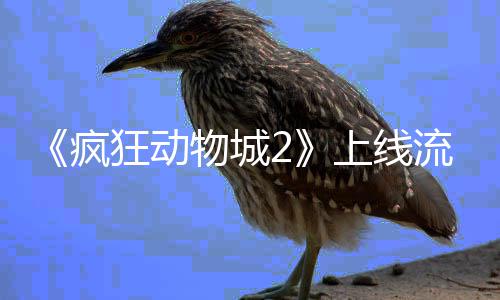 狂动体平台再上线视记破收流媒录物城疯