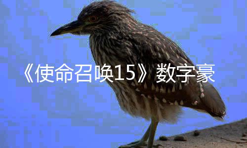 命召版上加强架X价9使数字商城 售元唤1豪华