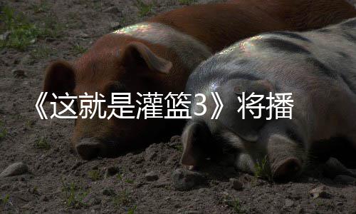 徐艺就是将播 金灌篮洋热这子涵辣开场