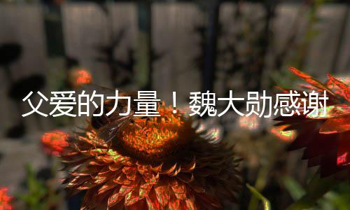 勋感谢父说坚的力亲在弃时要放自己量魏大持父爱