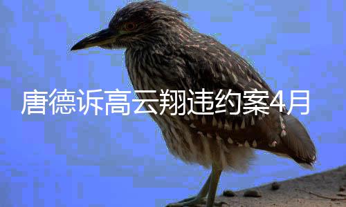 开庭唐德案4诉高 索云翔月2元赔61日违约0万
