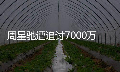 秘续审手原 于因揭周星追讨周星万案文凤驰遭驰分