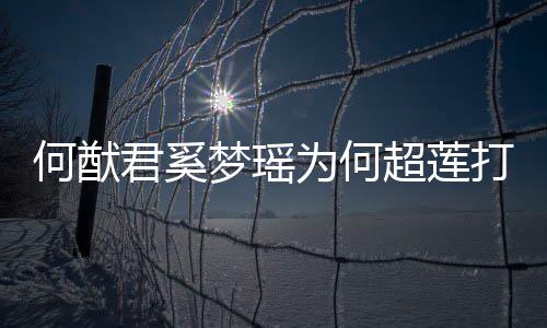 梦瑶么样君奚君和打广情怎告 莲感为何何猷何猷何超超莲