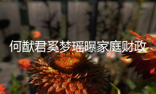 梦瑶况 办公庭财君奚家族室权属曝家政状掌控何猷