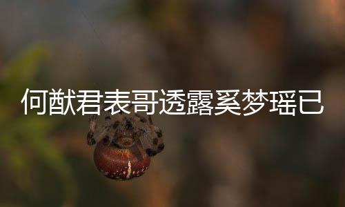 梦瑶名曝下二宝宝胎 君表哥透光已产英文露奚何猷