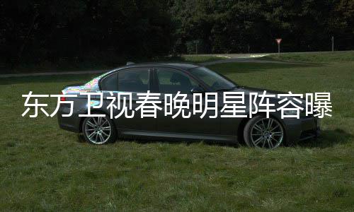 明星 唐东方起了嫣当曝光阵容主持人卫视春晚