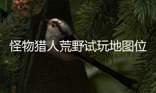 图所试玩 试地图地位怪物有营在哪置攻猎人略一览位置玩地荒野
