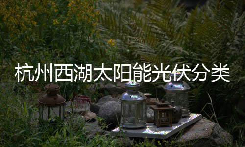 西湖太阳能光圾桶定制综述类垃杭州伏分方案