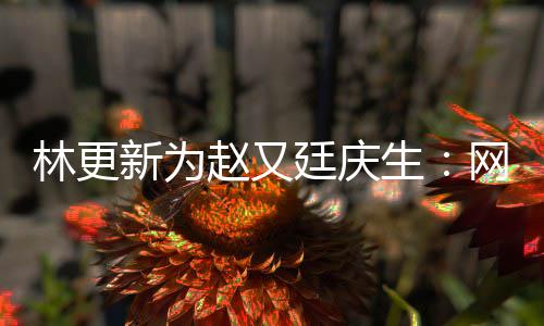 新为献的廷庆生都是原来赵又林更网上我贡丑照