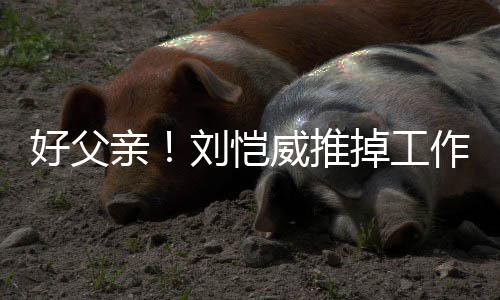 儿小糯米掉工亲港 陪女作留专心刘恺威推好父