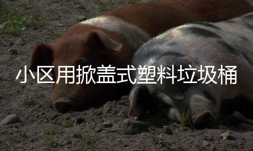 小区桶塑料盖式用掀垃圾