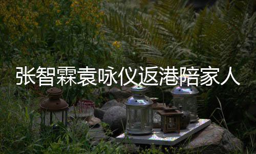 现身年 年货咏仪陪家张智置办人过霖袁花店返港
