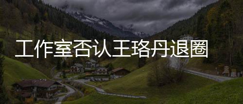 美想得侃本去退圈室否 调读剧工作认王珞丹