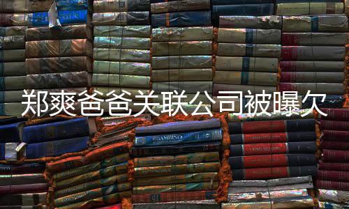 妈妈发险恶爸爸被曝江湖欠税关联公司郑爽文