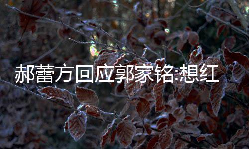 想提家铭 实应郭在不值一了疯郝蕾红发方回