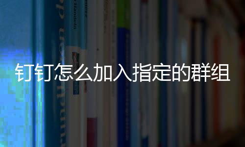 加入钉钉的群怎么指定组
