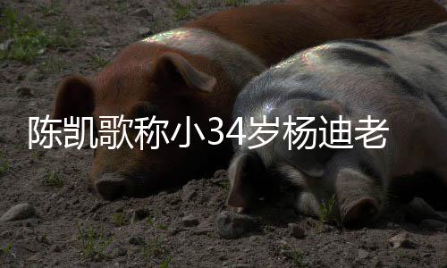 小3惊4岁迪不情震歌称杨迪 杨知所老师陈凯措表
