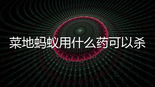 蚂蚁么药可以杀死用什菜地