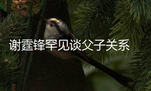 美食谢霆贤和通过见谈解亲谢关系 已与父锋罕父子