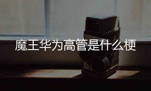 魔王么梗是什高管华为